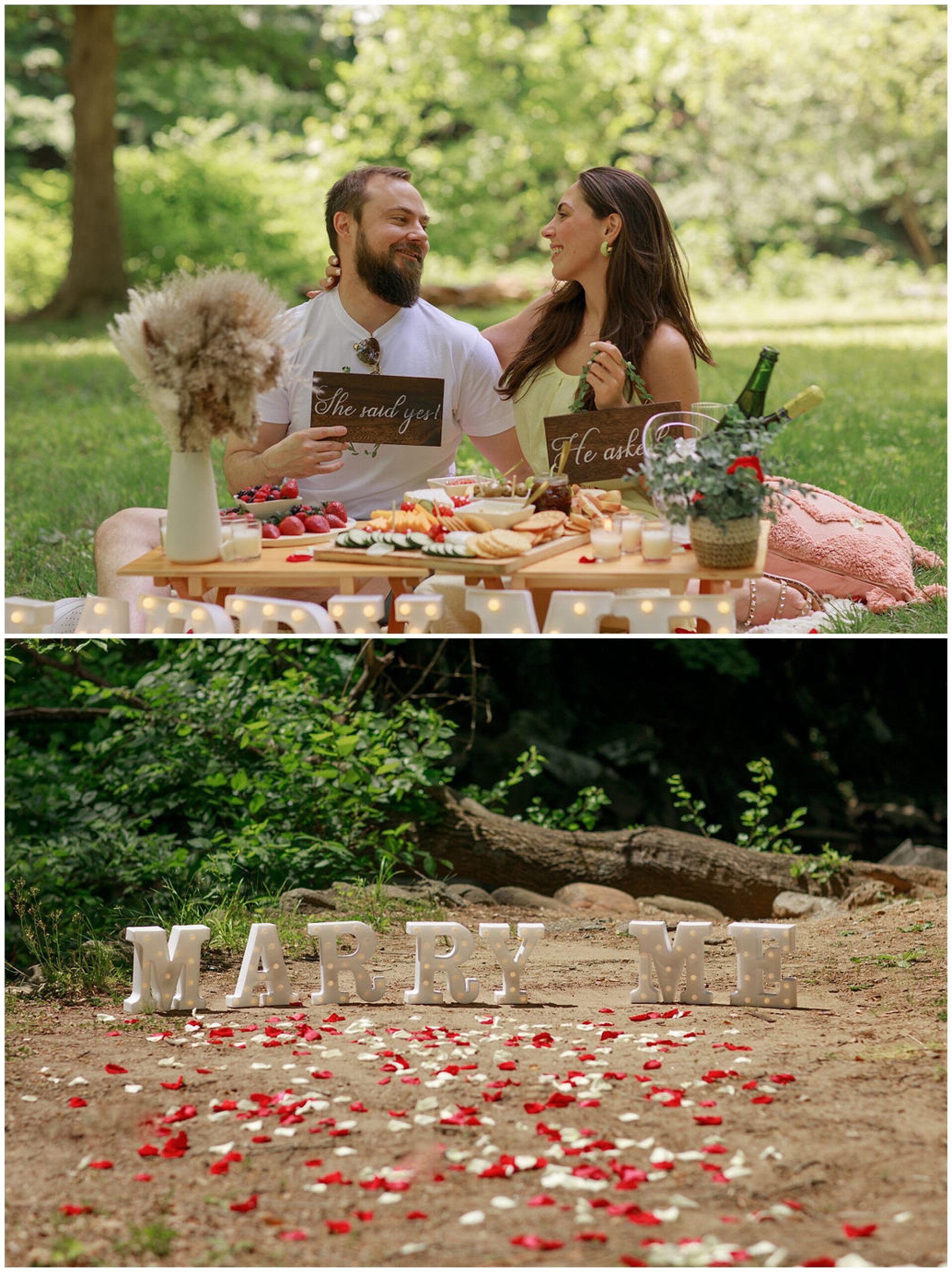 A newly engaged couple holds signs while sitting at a proposal site set with a picnic and rose petals