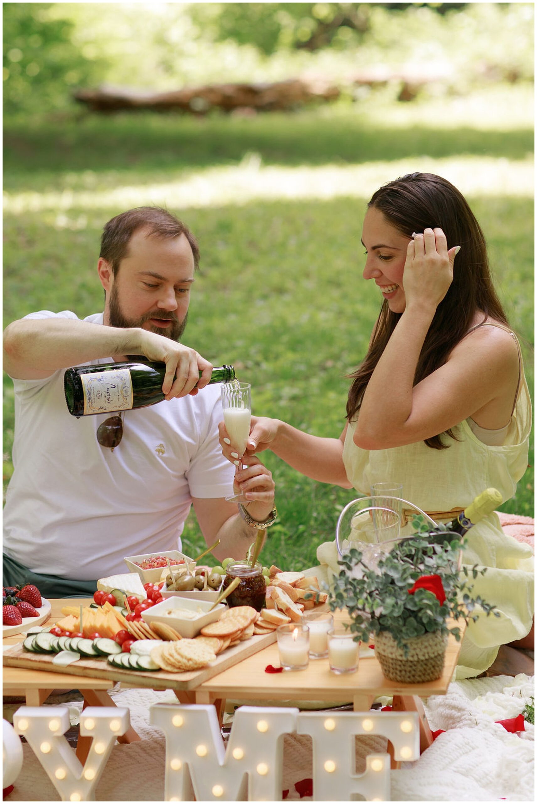 A newly engaged couple enjoys a charcuterie platter in a park with champagne dc engagement photographer
