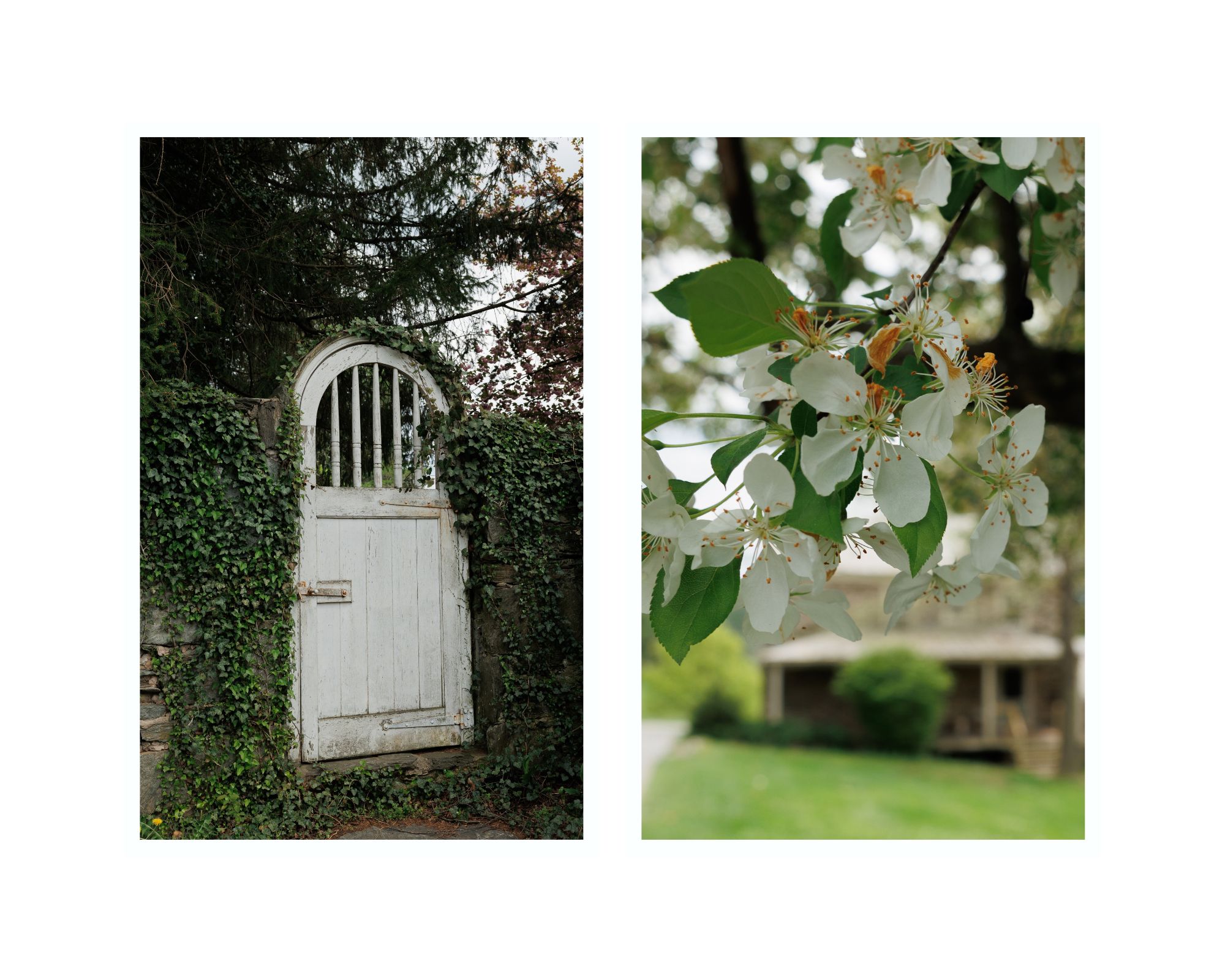Cold Saturday Farm Wedding Venue White Door and White Flowers