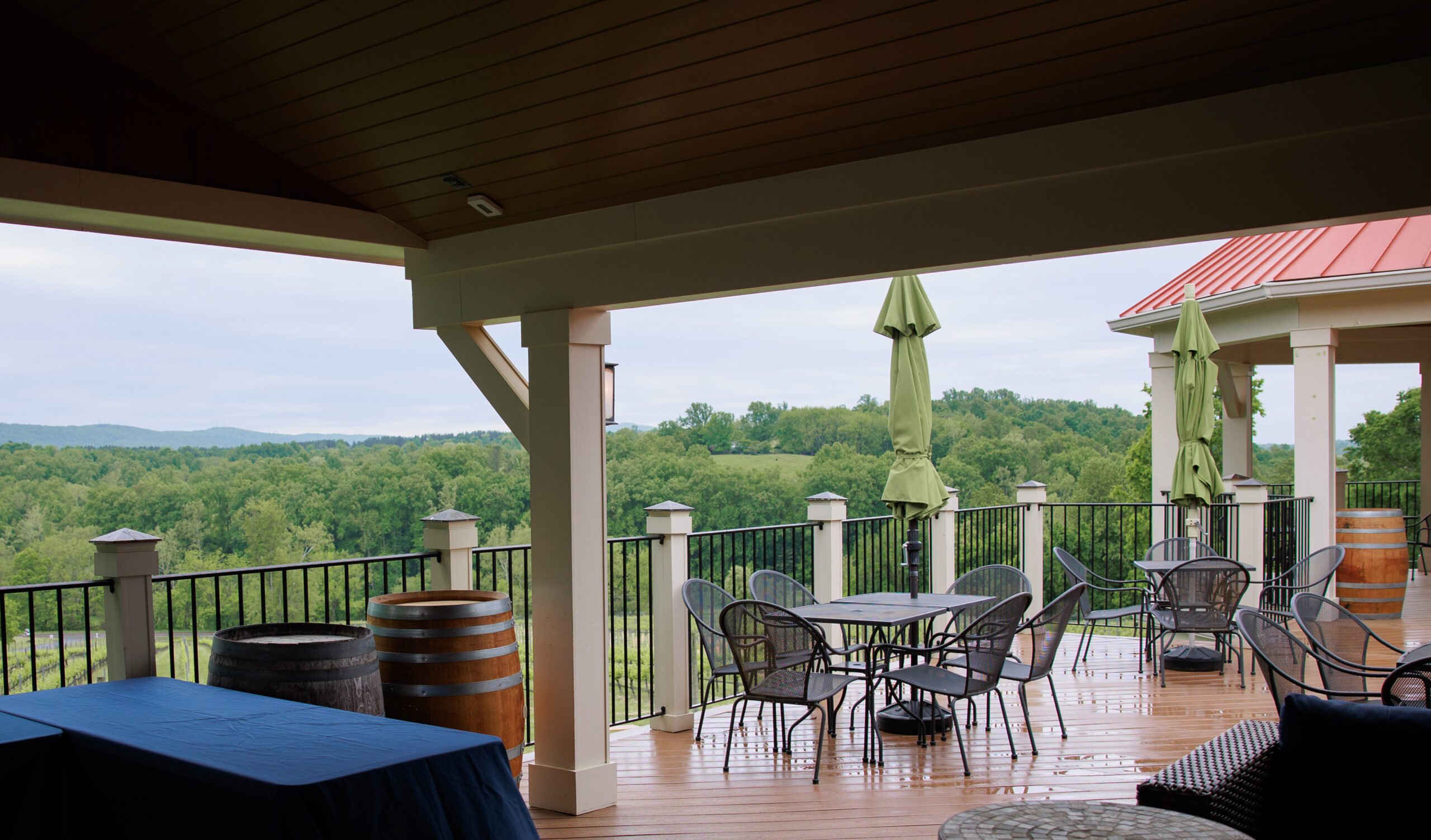 Mountain and vineyard views from the upper deck