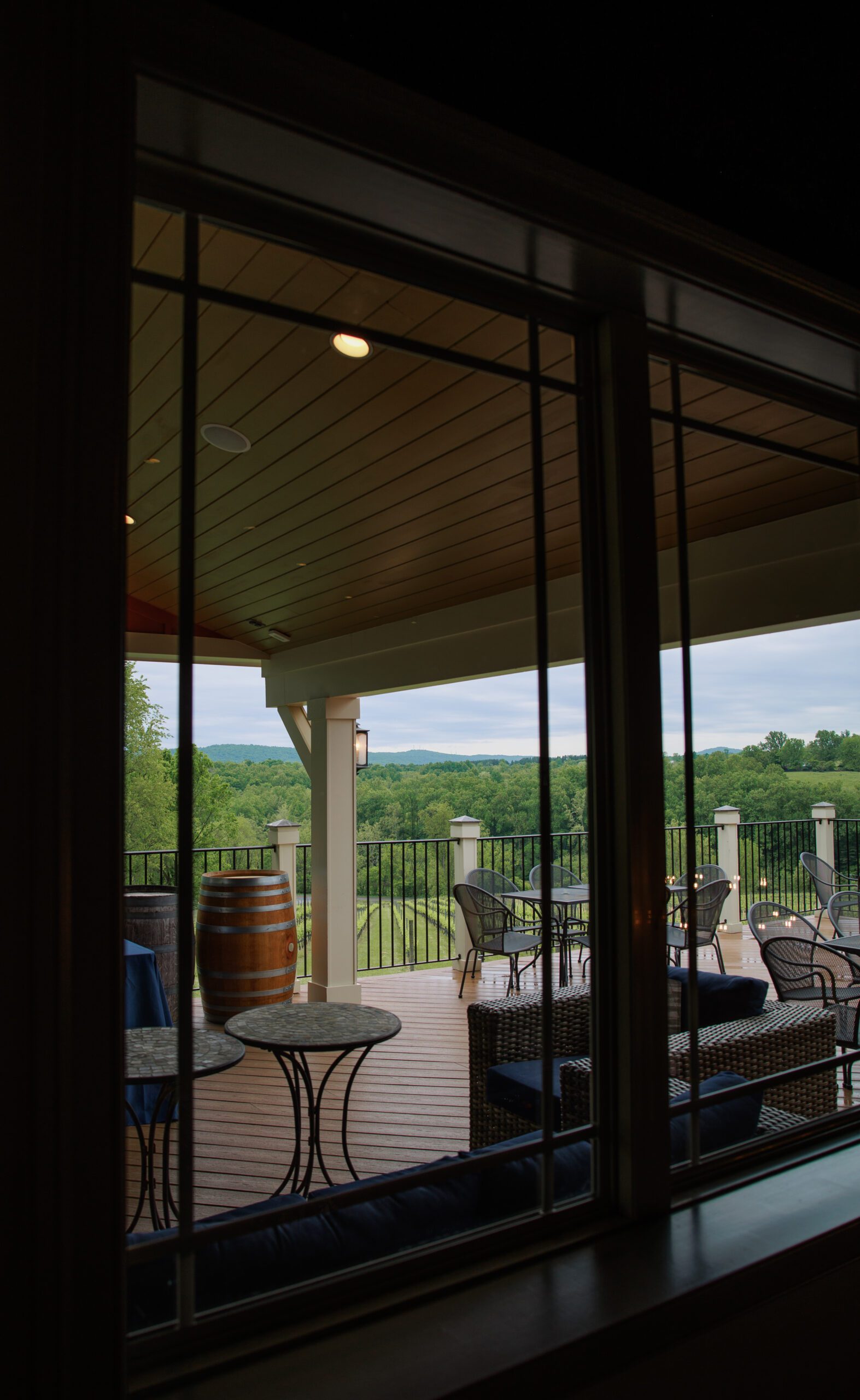 Panoramic views of Cana Vineyards.