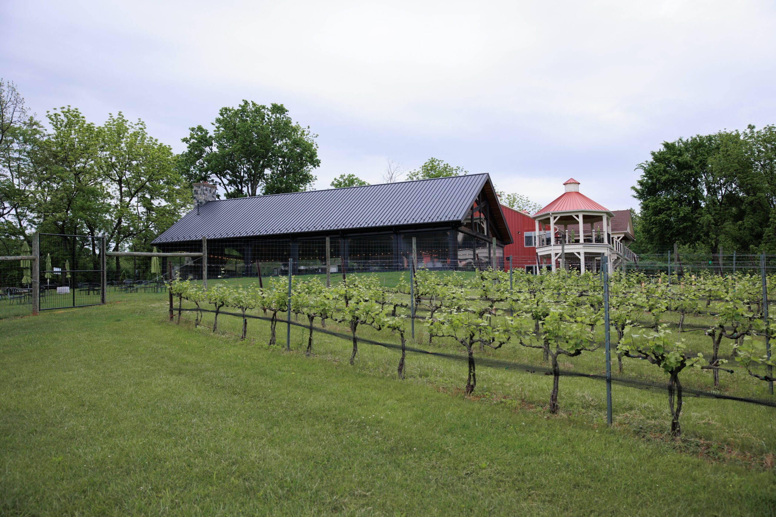 Cana Vineyard and Wedding Venue