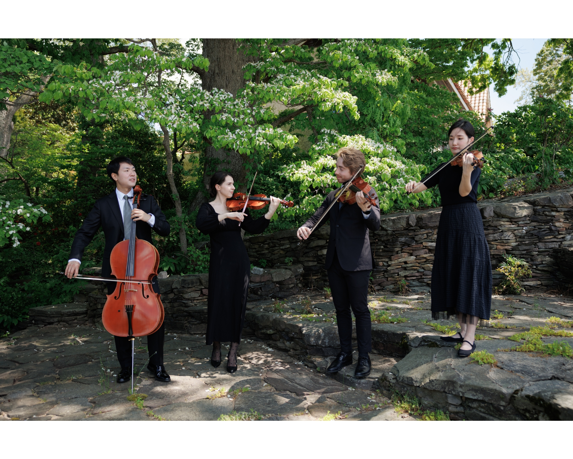 Kennedy Quartet plays during cocktail hour at a private estate wedding.