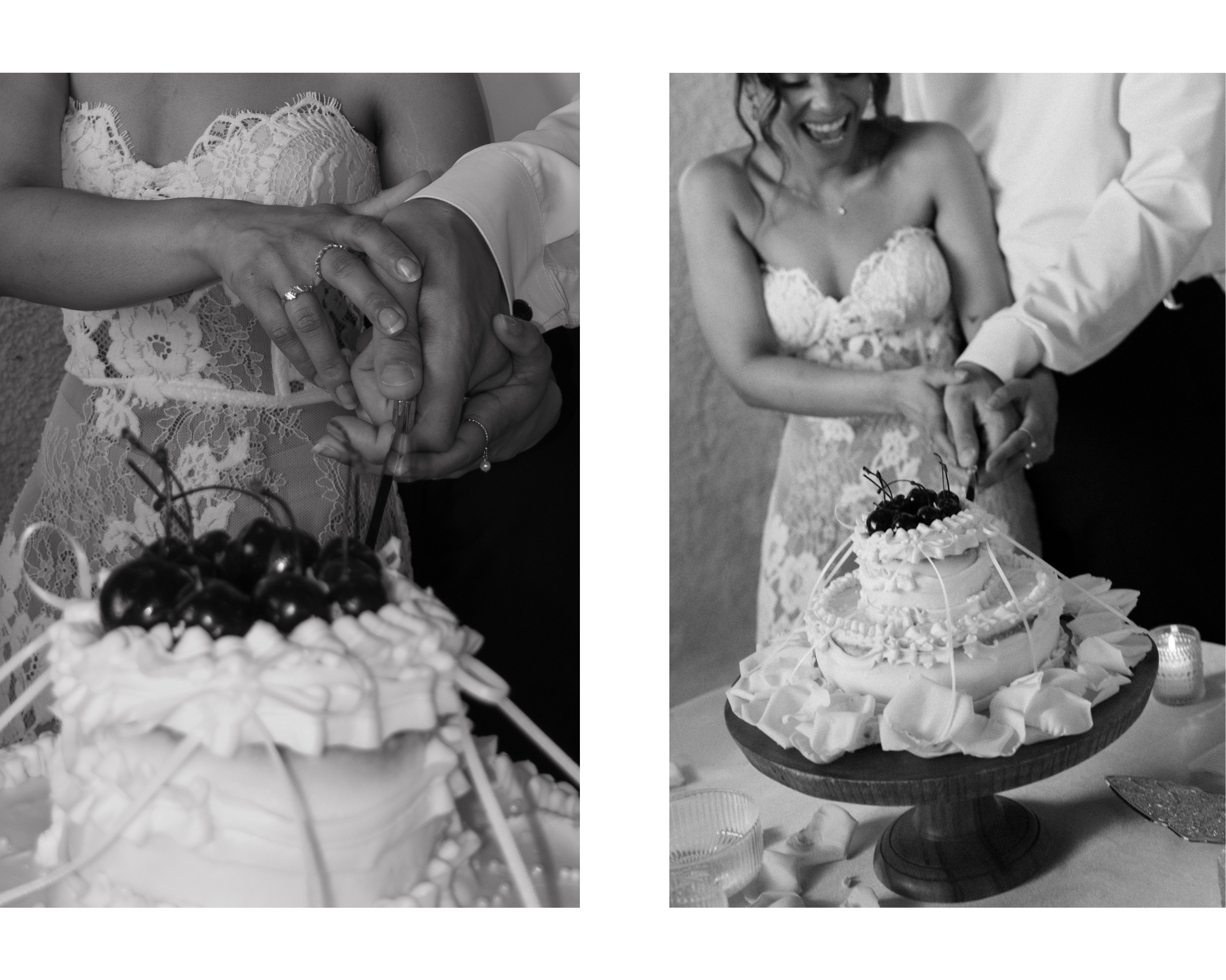 Newlyweds cut into their wedding cake. Photography by Alex McCormick, a northern virginia based wedding photographer.