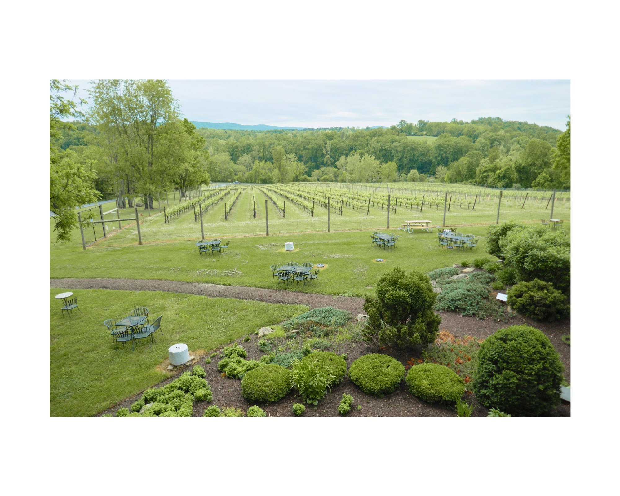 Cana Vineyards wedding venue in Middleburg, Virginia.