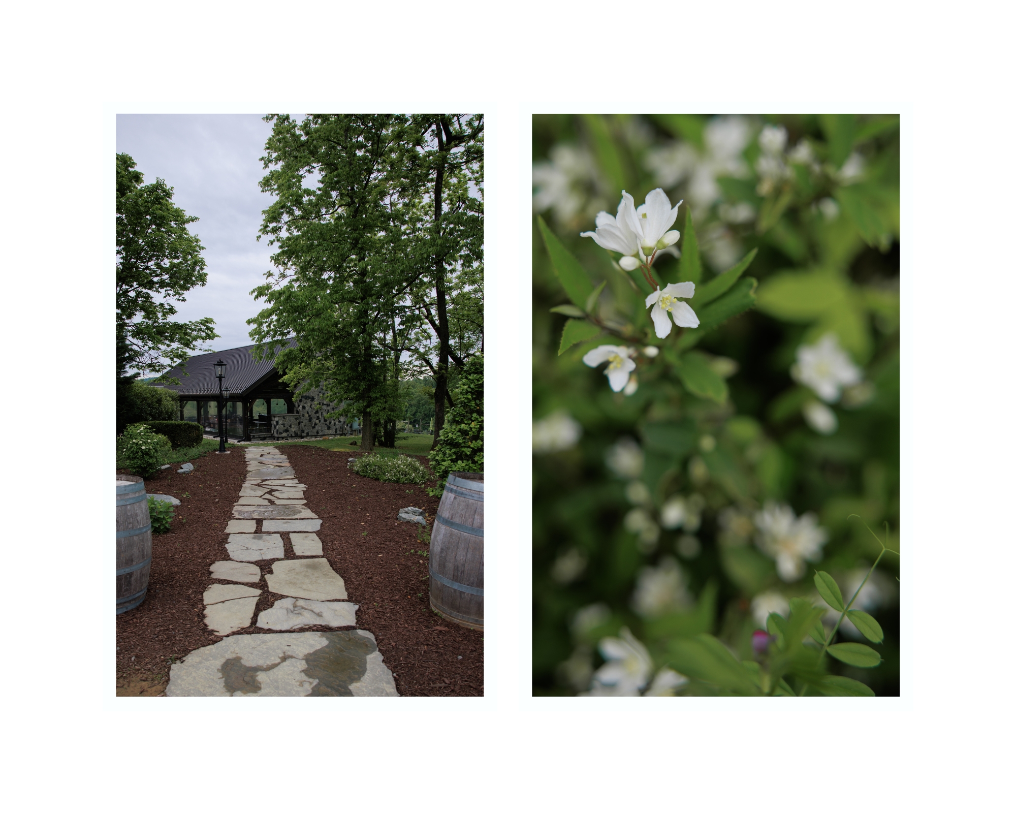 Cana Vineyards wedding venue in Middleburg, Virginia.