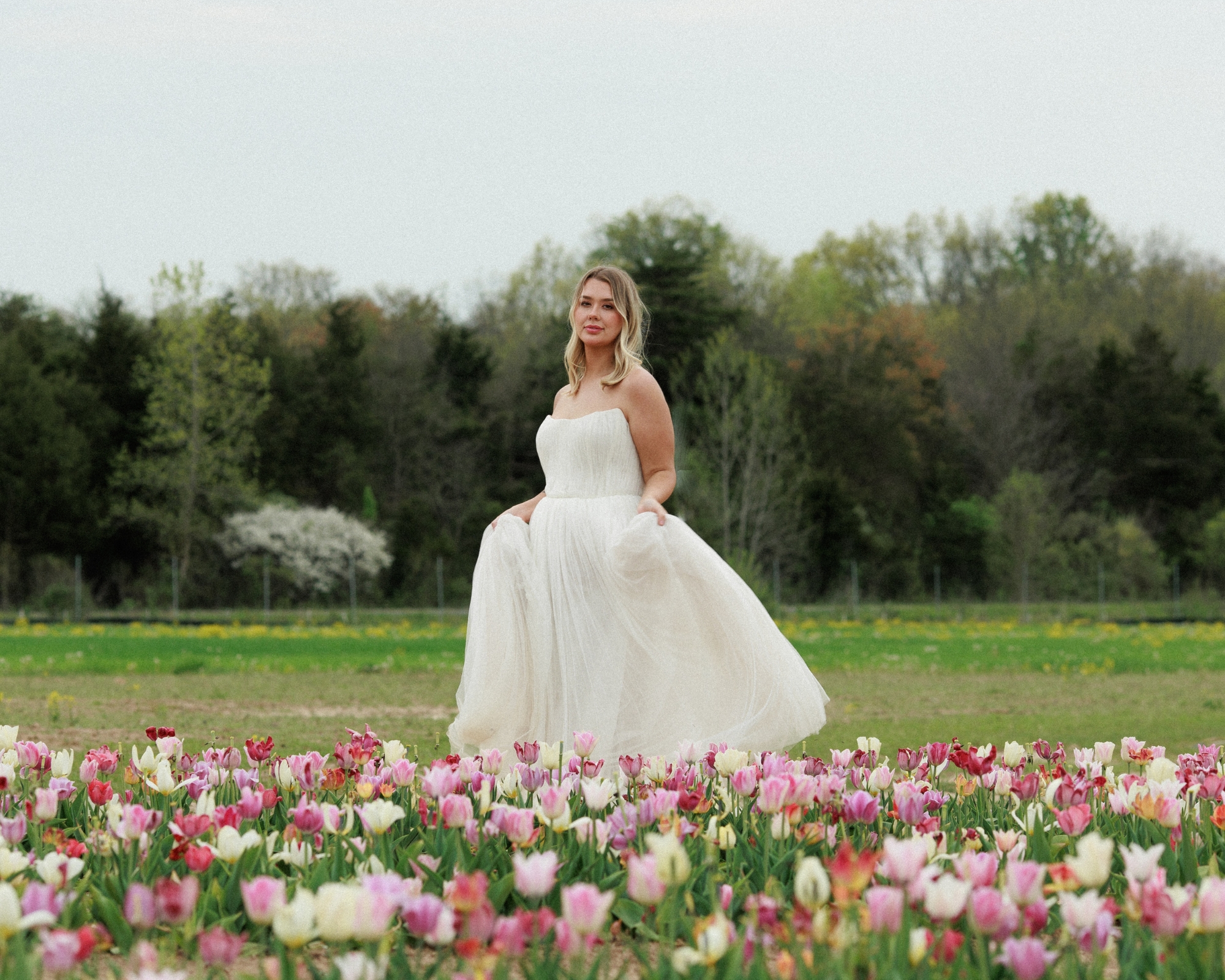 Bride in Tulip field at Burnside Farm Virginia