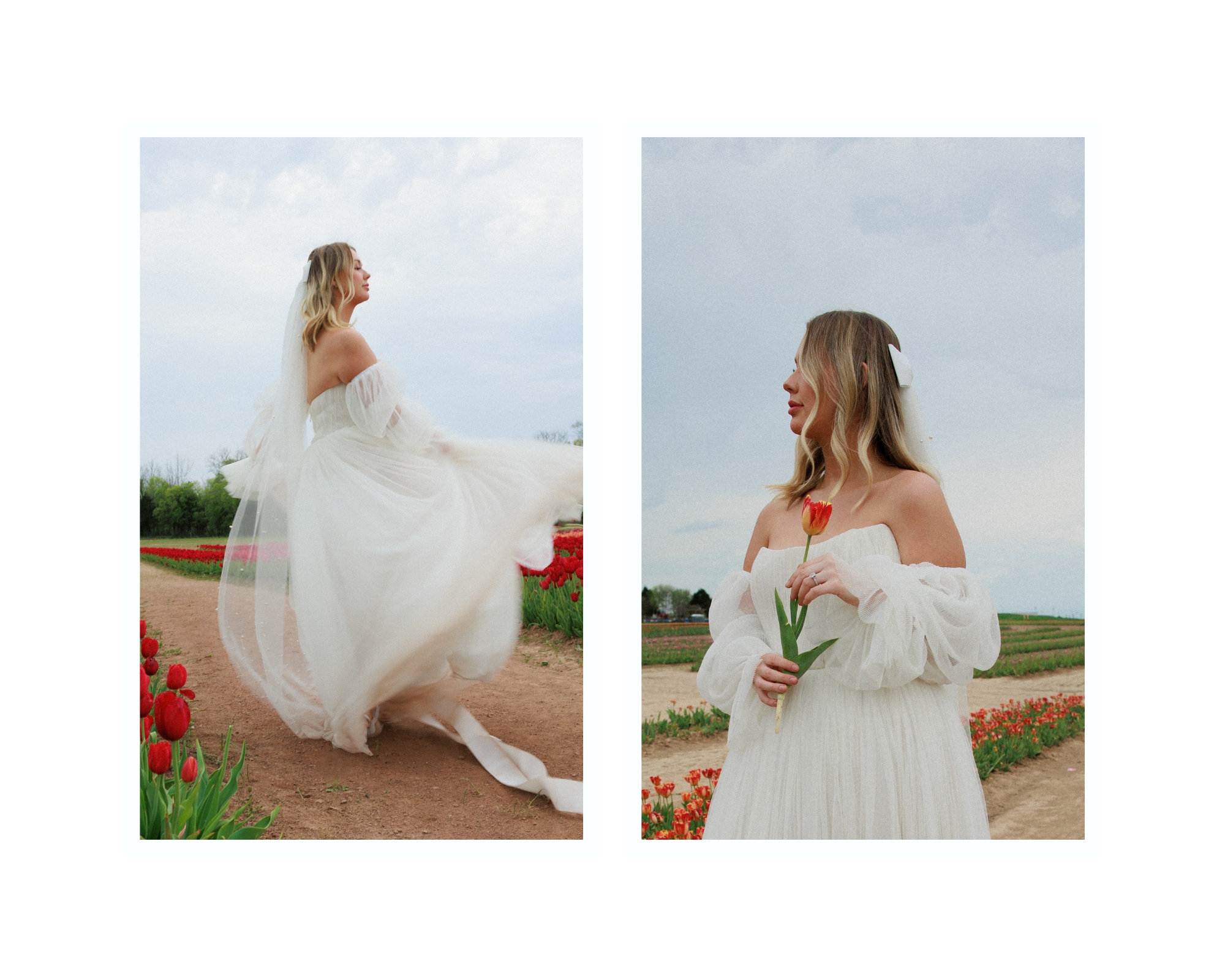Bride holding a Tulip in a field at Burnside Farm Virginia