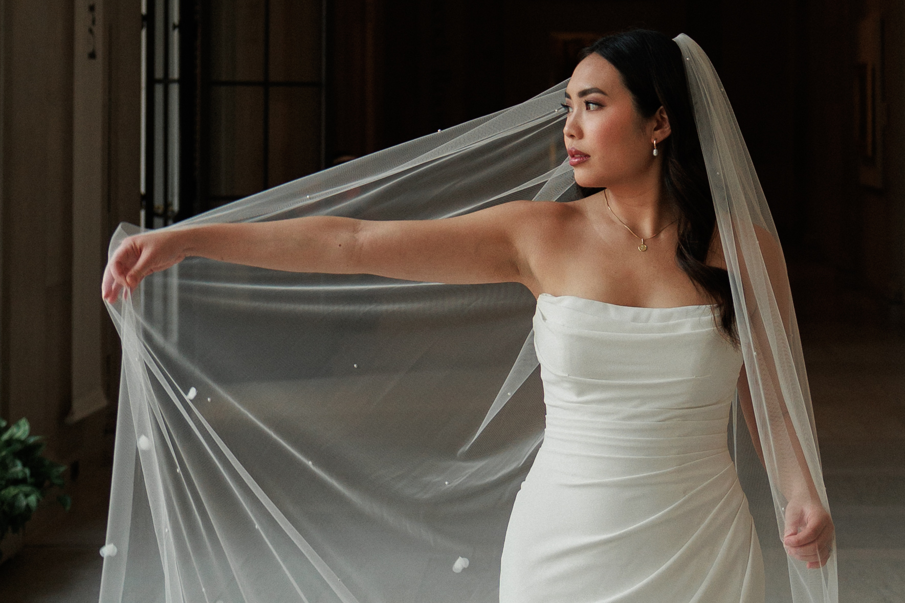 Elopement in Washington DC