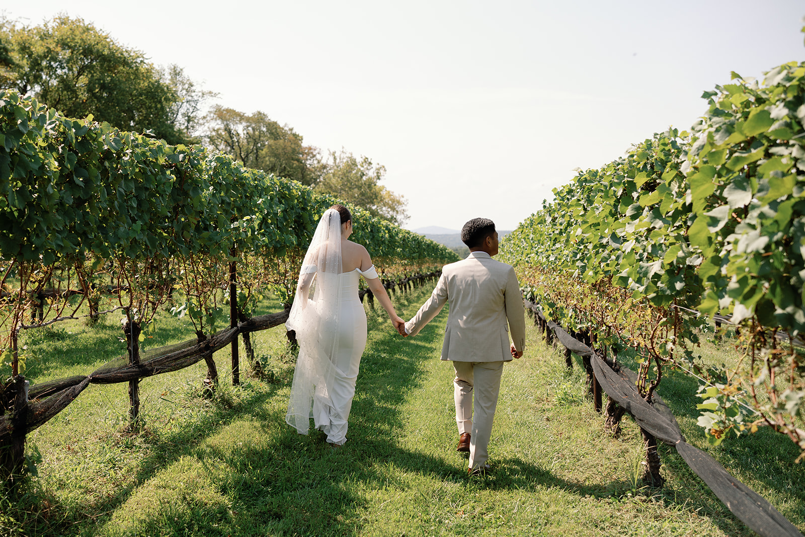 Bride and groom walking together in the vines at Stone Tower Winery.