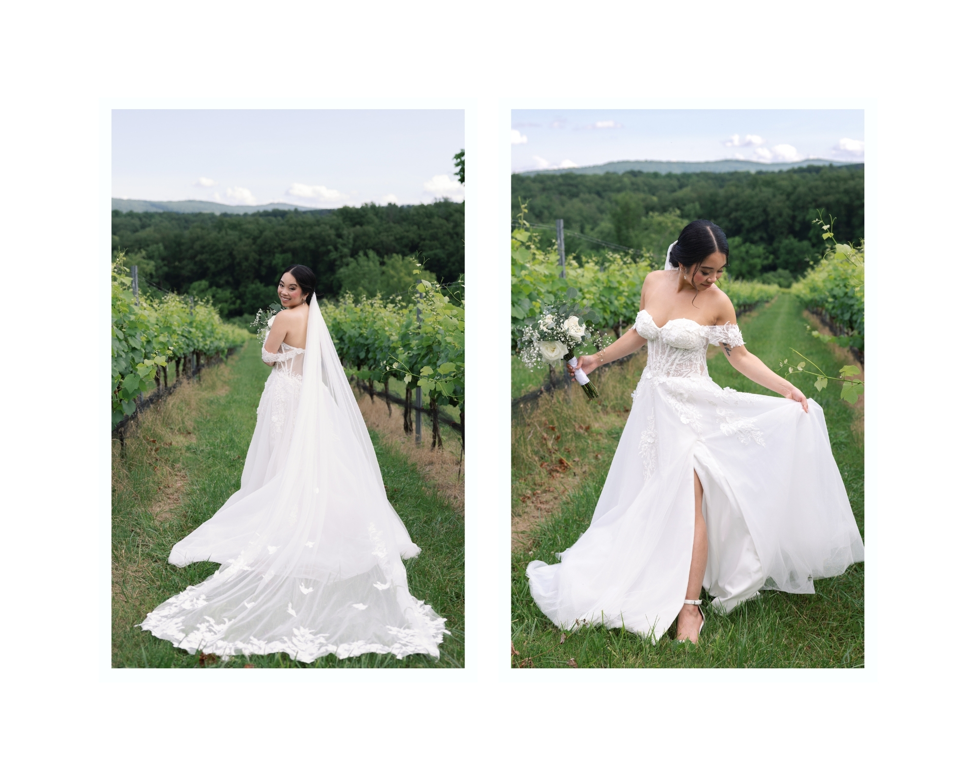 Bride standing in the vineyard with her long cathedral veil billowing in the breeze
