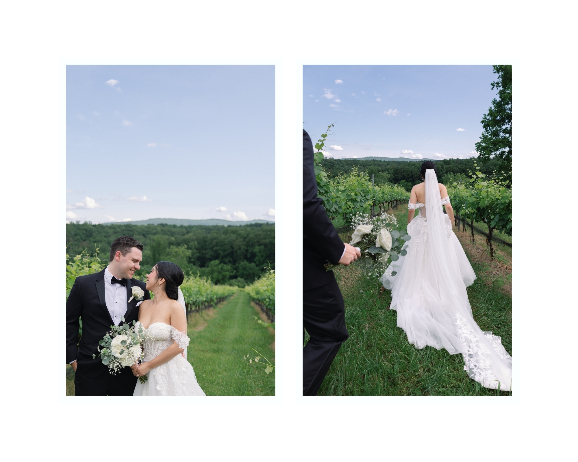 Bridal portraits in the vines