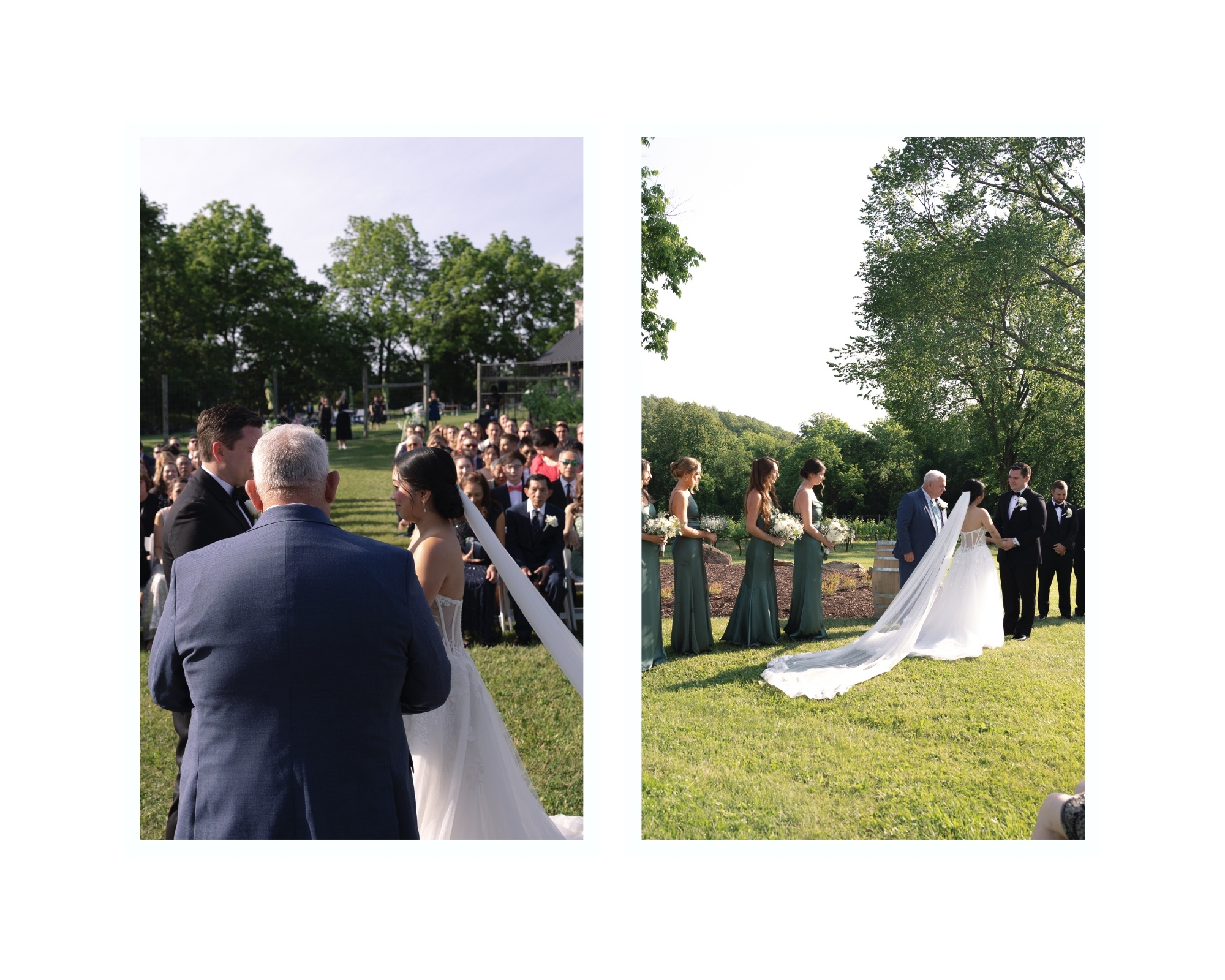 Elegant vineyard ceremony framed by rolling hills and rows of grapevines