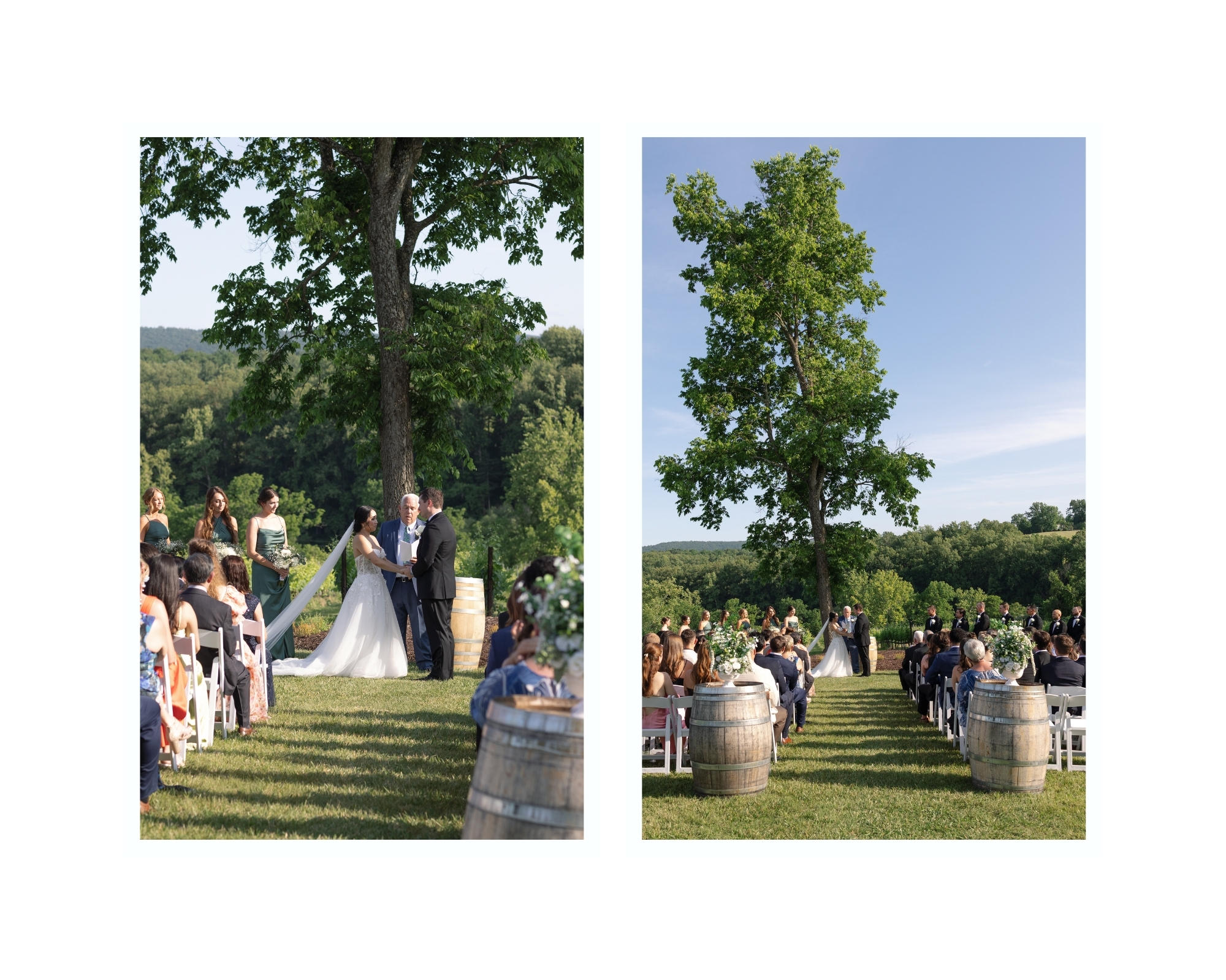 Elegant vineyard ceremony framed by rolling hills and rows of grapevines