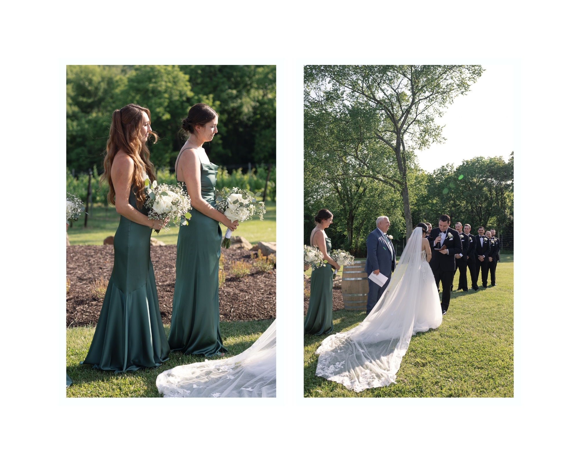 Ceremony beneath a historic tree at Cana Vineyards, its wide branches creating a natural canopy