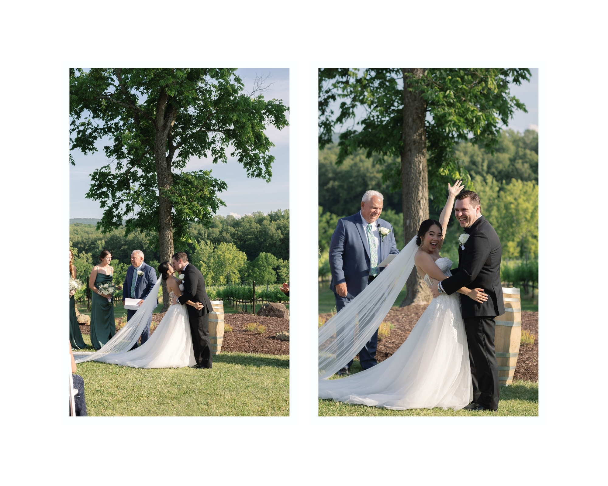 Wide view of ceremony under the historic tree with sunlight filtering through the branches