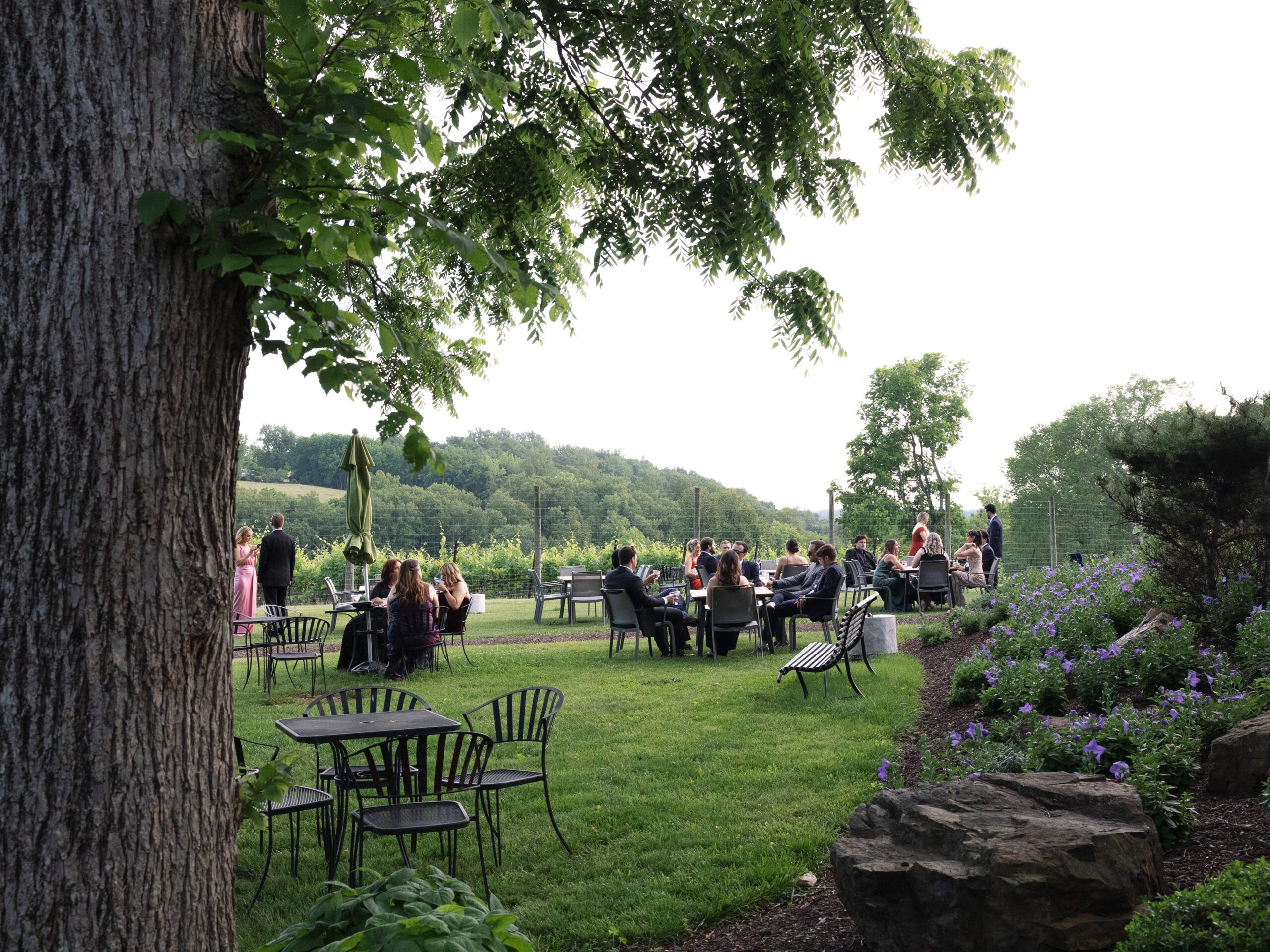 Guests enjoying prosecco on the lawn during cocktail hour