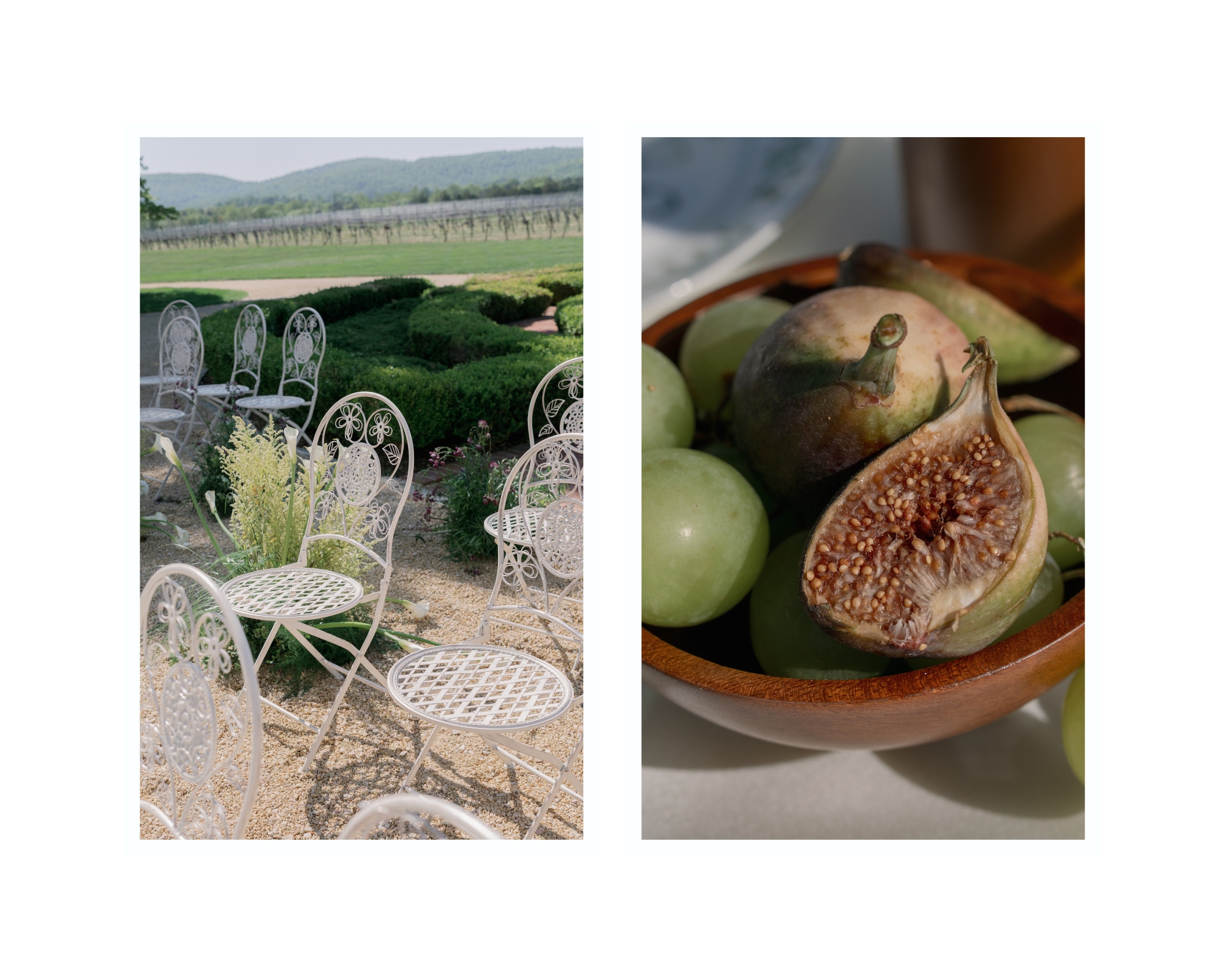romantic spring wedding at keswick vineyards near charlottesville virginia