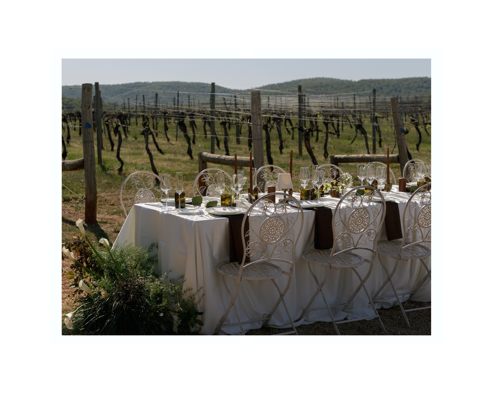 romantic spring wedding at keswick vineyards